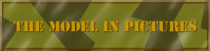 model.gif